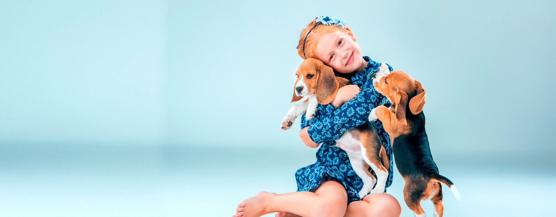 Your Pets Deserve